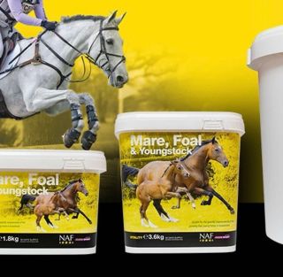 Mare, Foal & Youngstock 1,8kg NAF Krmný doplněk pro klisny, hříbata a mladé. Špičková kvalita značky NAF ngstock 1,8kg NAF...