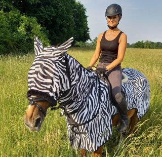 I vy můžete jezdit do terénu na “zebře” 🤩🤩 a při tom chránit svého koňského parťáka před otravným hmyzem 👌...